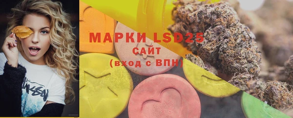 не бодяженный Иннополис